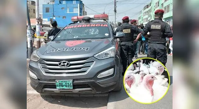 Empresa entregó tráileres llenos y le pagaron con cheque sin fondo en Ate. Empresa entregó tráileres llenos y le pagaron con cheque sin fondo en Ate.