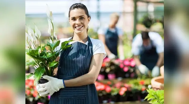 Las pymes pueden aprovechar para reducir costos siendo ecoeficientes Las pymes pueden aprovechar para reducir costos siendo ecoeficientes