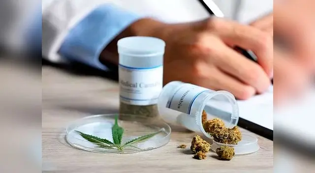 Cannabis medicinal en debate