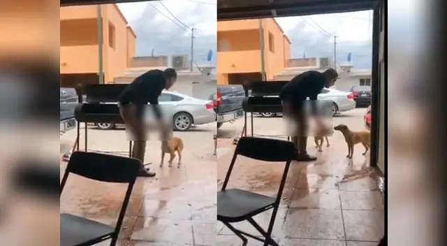 Nuevo caso de maltrato animal en México 