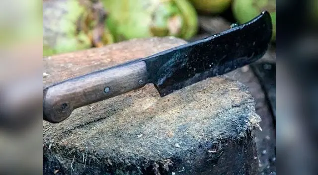 Menores de 12 y 14 años respectivamente apuñalaron y dispararon a su progenitora