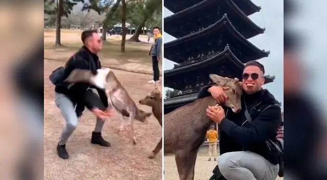 Modelo publicó video para demostrar que no es un maltratador de animales