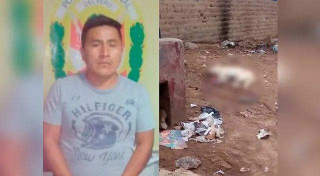 Denuncian a sujeto que degolló a perrito