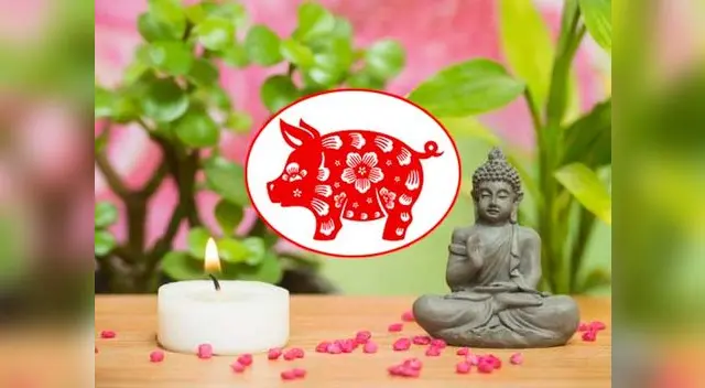 Conoce las predicciones del Feng Shui para tu signo Conoce las predicciones del Feng Shui para tu signo