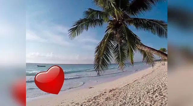 Muchacho tuvo el apoyo de algunos bañistas para hacer realidad la locura de amor Muchacho tuvo el apoyo de algunos bañistas para hacer realidad la locura de amor