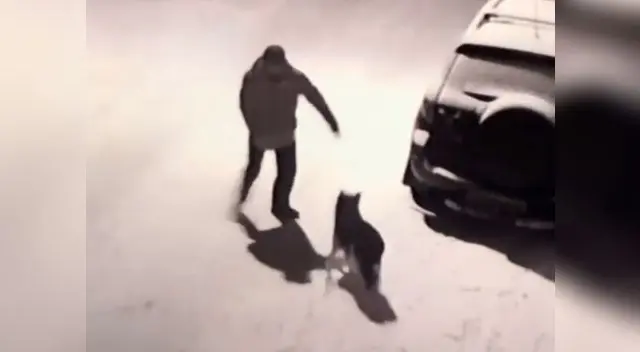 viral en YouTube muestra cómo el perro logra escapar luego del maltrato animal viral en YouTube muestra cómo el perro logra escapar luego del maltrato animal