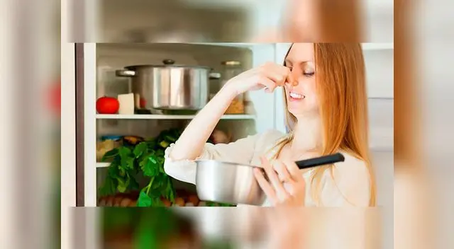 El calor está pegando duro y es común que termines tirando comida, afectando a tu economía