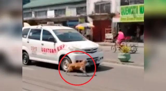 En YouTube han quedado con el corazón partido por desgarradora escena En YouTube han quedado con el corazón partido por desgarradora escena