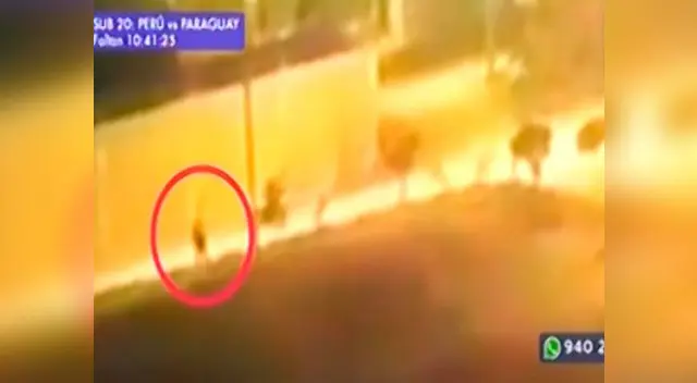 Video muestra enfrentamiento entre policía y delincuentes Video muestra enfrentamiento entre policía y delincuentes