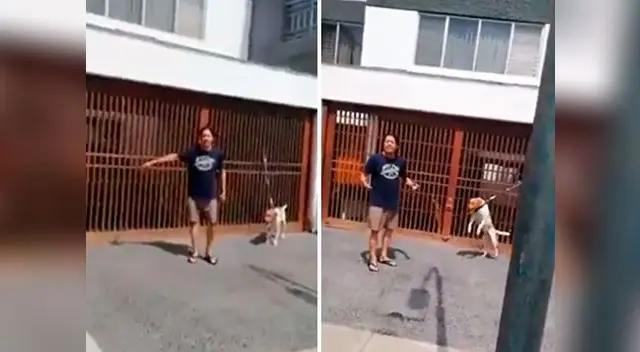 Denuncian caso de maltrato animal en San Isidro Denuncian caso de maltrato animal en San Isidro