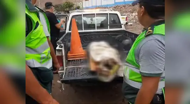 Murió en el patio donde trabajaba Murió en el patio donde trabajaba