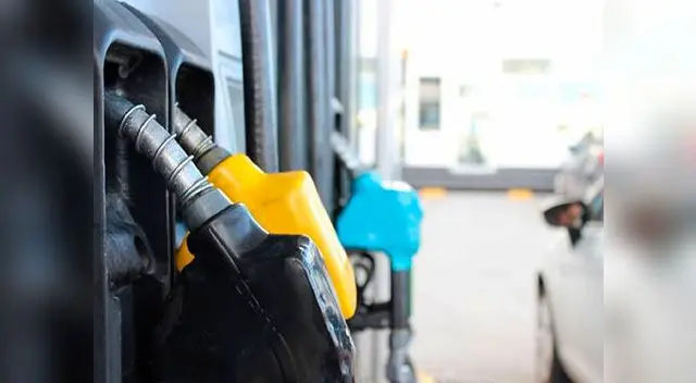 Empresas generaron importante daño ambiental