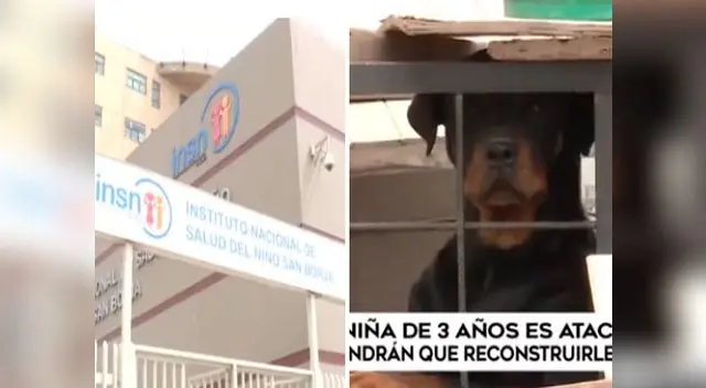 Niña fue desfigurada por perro pitbull Niña fue desfigurada por perro pitbull