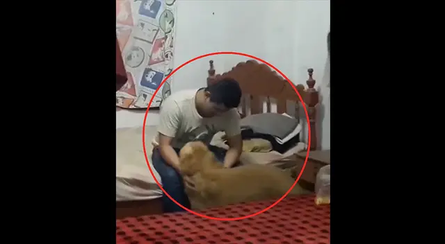 PNP Elvis Miranda Rojas conmueve al reencontrarse con 'Lucas' PNP Elvis Miranda Rojas conmueve al reencontrarse con 'Lucas'