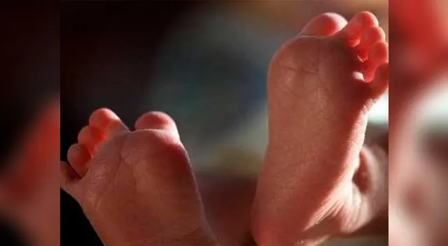 Recién nacido fue devorado por ratas