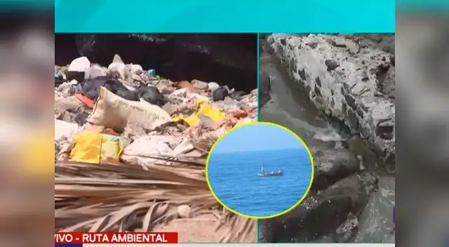 Contaminación afecta el hábitat de las especies marinas en Pucusana