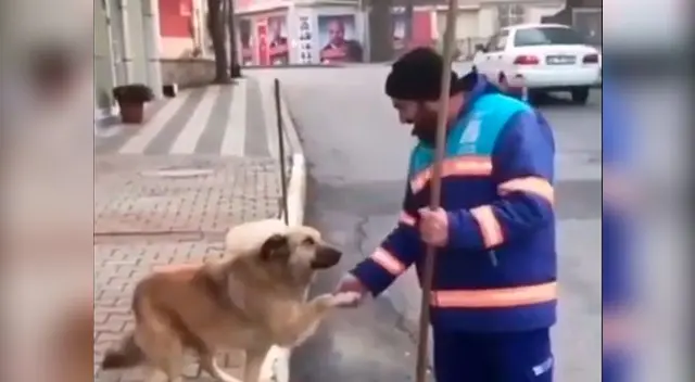 Video viral en Facebook muestra cómo el perrito callejero le entrega su patita en símbolo de amor