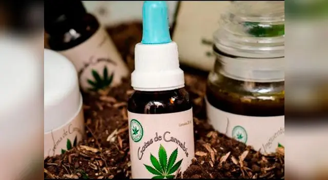 El Estado garantizará el acceso a la marihuana y sus derivados con fines médicos