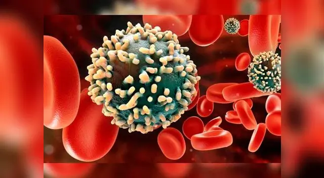 Comunidad científica tiene esperanza con los resultados Comunidad científica tiene esperanza con los resultados