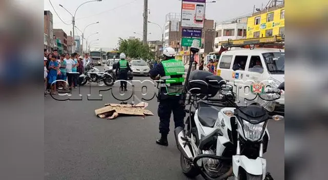 Mujer fue embestida y falleció en el acto Mujer fue embestida y falleció en el acto