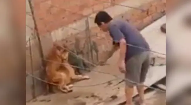 Sujeto fue grabado por uno de sus vecinos Sujeto fue grabado por uno de sus vecinos