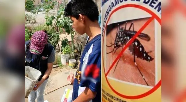 Dengue afecta a decenas de pobladores en Lurigancho - Chosica
