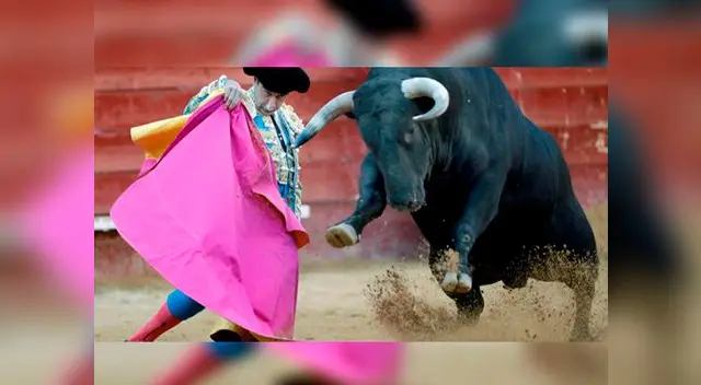 Torero recibió impactante cornada en ruedo taurino