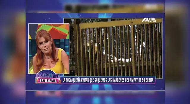 Magaly Medina se la tiene jurada al delantero Jefferson Farfán 