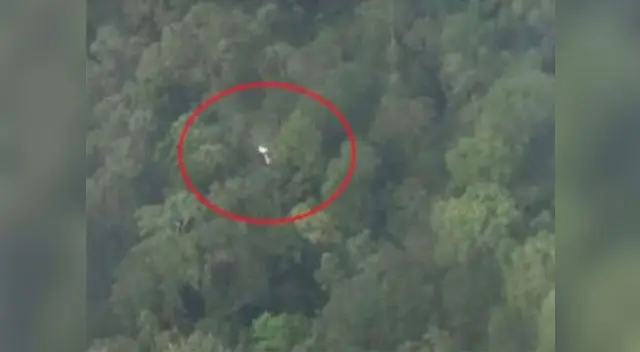 Encuentran avioneta perdida con trabajadores de Prosegur, en Iquitos