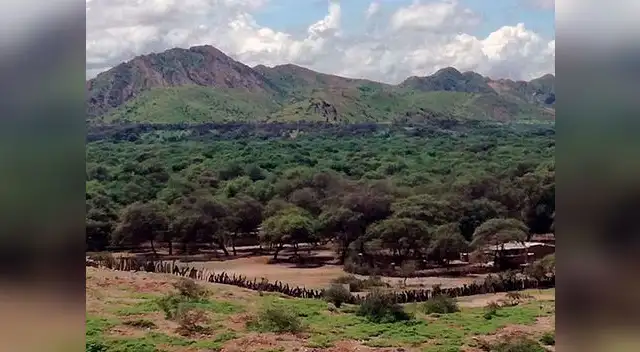 Una Semana Santa en el Bosque de Pómac