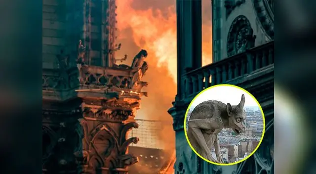 Conoce las leyendas que envuelven a las gárgolas de la catedral de Notre Dame Conoce las leyendas que envuelven a las gárgolas de la catedral de Notre Dame