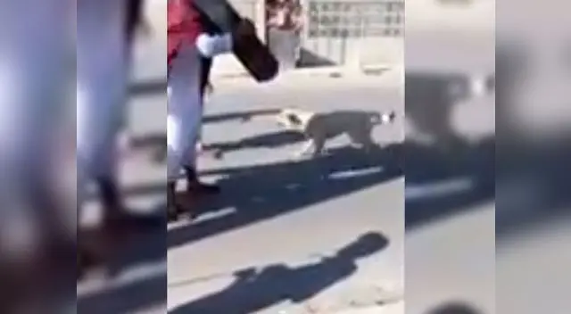 Cómo se muestra en Facebook, los actores tuvieron que parar la escenificación de la 'Pasión de Cristo' para que puedan tranquilizar al pequeño can