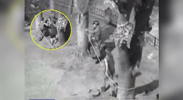 No quisieron acatar órdenes