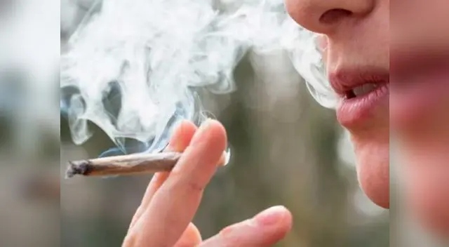 Venta de marihuana es regulada por las autoridades desde el 17 de octubre del 2018