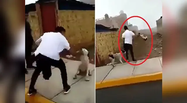 A través de Facebook denunciaron maltrato animal en Huacho A través de Facebook denunciaron maltrato animal en Huacho