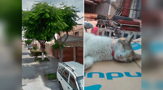 Delincuentes asaltan a una joven y le disparan en Pueblo Libre Delincuentes asaltan a una joven y le disparan en Pueblo Libre