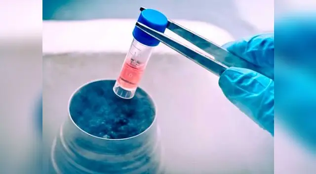 Mujeres aseguradas en el SIS podrán acceder a tratamiento a bajo costo