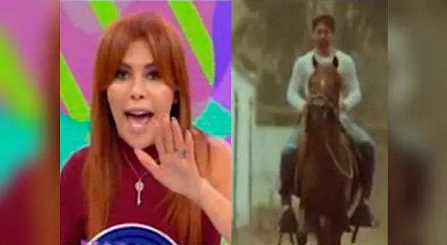 Magaly Medina lanza dura advertencia a Antonio Pavón y lo reta a hacerse un examen de cabello Magaly Medina lanza dura advertencia a Antonio Pavón y lo reta a hacerse un examen de cabello