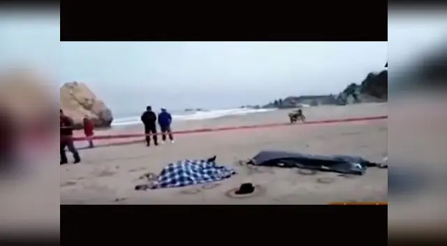 Cuerpos fueron encontrados esta mañana Cuerpos fueron encontrados esta mañana