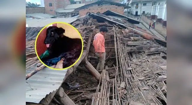 Su historia viene siendo viralizada en Facebook Su historia viene siendo viralizada en Facebook