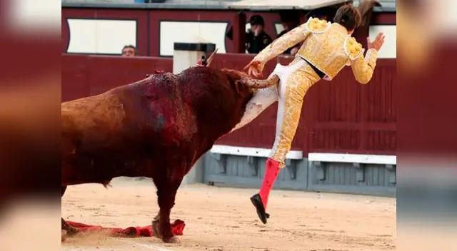 El video fue compartido a través de la plataforma de YouTube