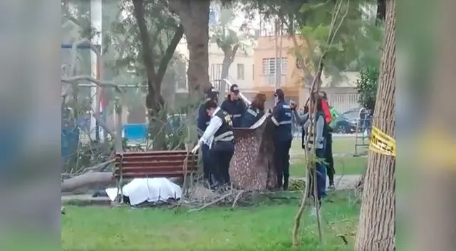 Los PNP en plenas diligencias en el parque de Chaclacayo Los PNP en plenas diligencias en el parque de Chaclacayo