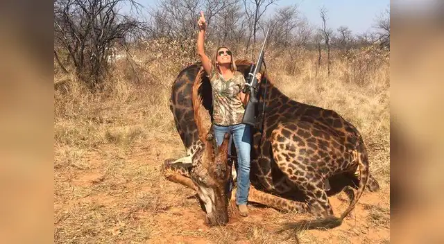 Tess Thompson conmocionó las redes sociales al lucirse con el cadáver de una jirafa Tess Thompson conmocionó las redes sociales al lucirse con el cadáver de una jirafa