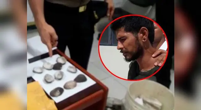 Kilo de droga iba a ser vendido hasta en 6 mil dólares en Chile Kilo de droga iba a ser vendido hasta en 6 mil dólares en Chile