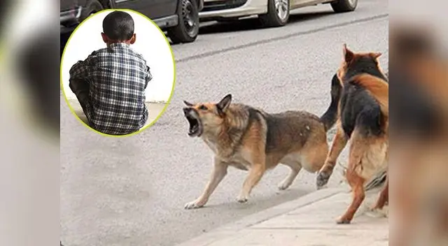 Ataque a escolar en el distrito de Villa María del Triunfo 