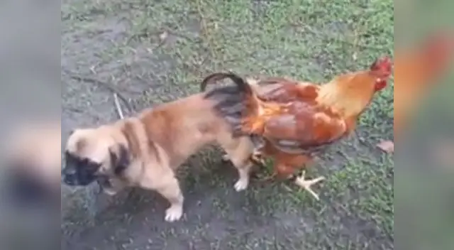 Cibernautas no pueden creer lo que ven Cibernautas no pueden creer lo que ven