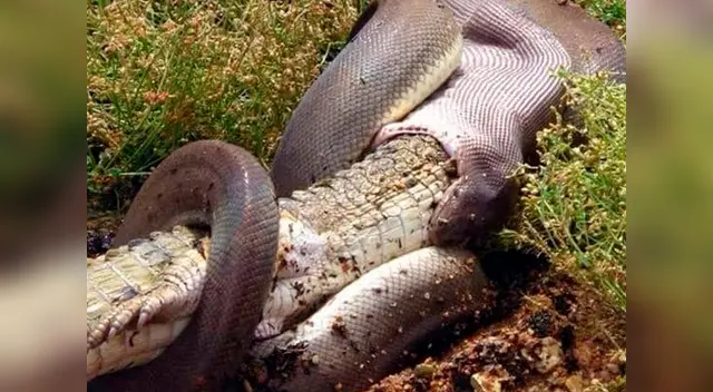 En Facebook los usuarios respondieron impactados por las sorprendentes imágenes En Facebook los usuarios respondieron impactados por las sorprendentes imágenes