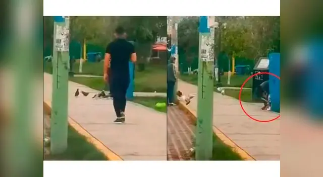 Maltrato animal en parque de Santa Anita Maltrato animal en parque de Santa Anita