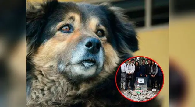 Colocan lápida en memoria de Perrovaca Colocan lápida en memoria de Perrovaca