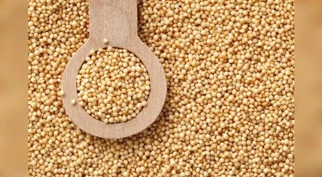 Conocer un poco más a detalle lo que ya comemos es una buena manera de cuidarnos Conocer un poco más a detalle lo que ya comemos es una buena manera de cuidarnos